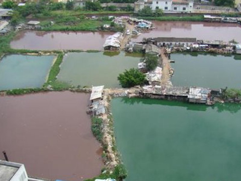 ?？谑衅呖陴B(yǎng)魚塘五種顏色儼如五彩池